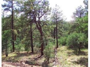 1492 Eureka Ridge Way Prescott, AZ 86303 - Photo 1 of 1 Primary Photo