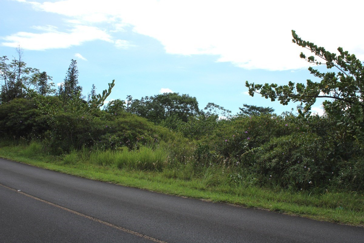 3114 Beach Road Keaau, HI 96749 - Photo 7 of 8 Gallery Image 7