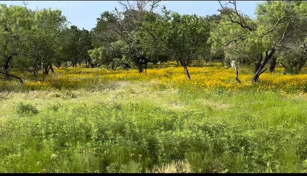 View of local wilderness featuring rural landscape