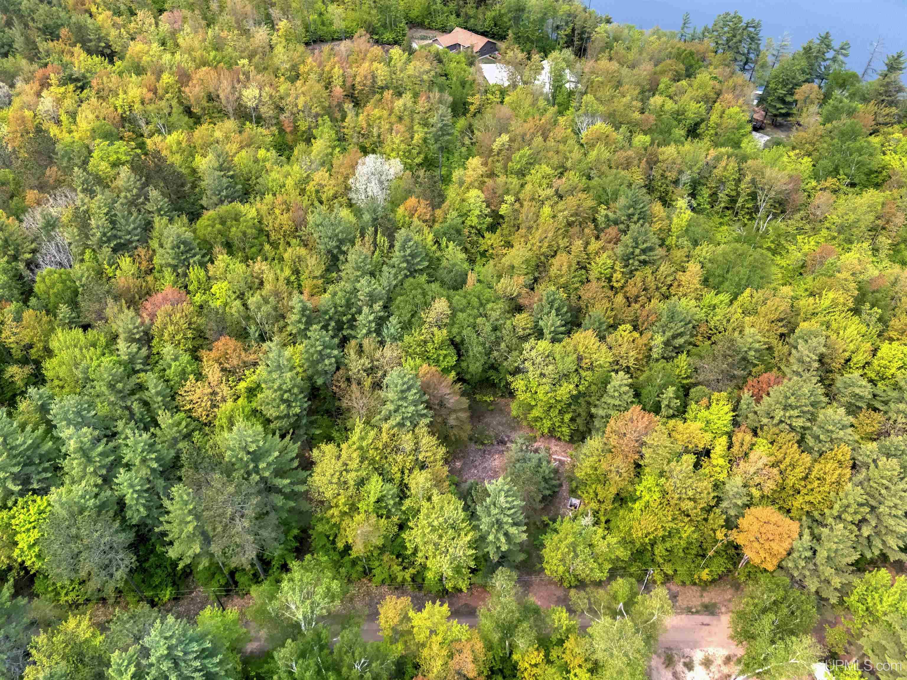11042 West Lilly Lake Road Manistique, MI 49854 - Photo 4 of 12