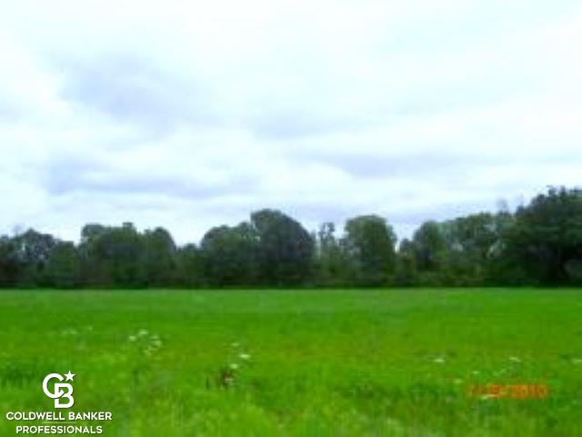 V/l Cribbins Road Avoca, MI 48006 - Photo 1 of 3