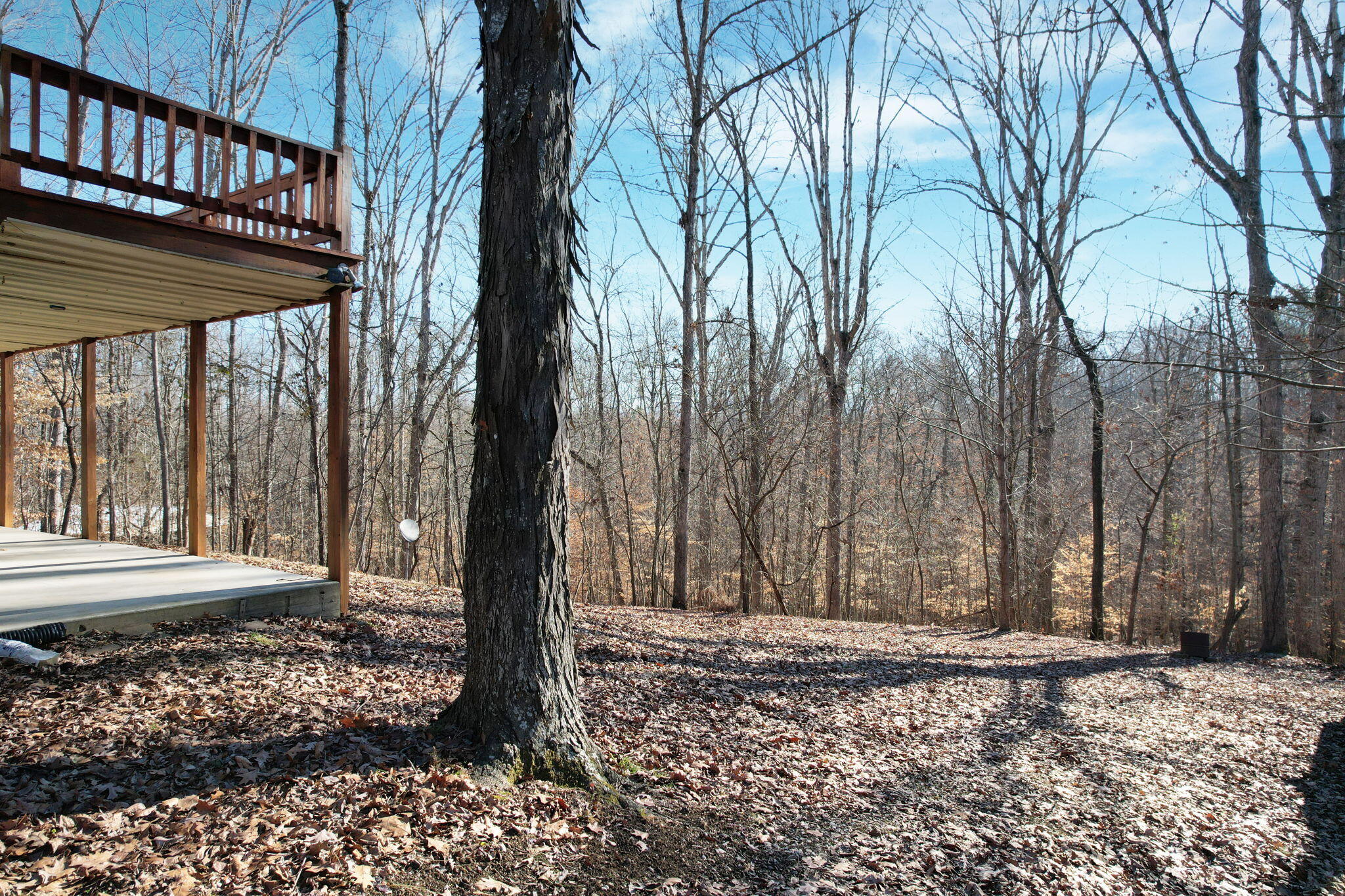 239 River Run Road Calhoun, TN 37309 - Photo 27 of 37 3-web-or-mls-DJI_0608