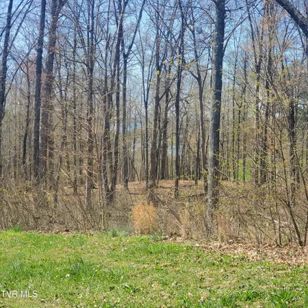 $34,500 | Lot 136 Tumbleweed Trail, Unit 136, Rutledge, TN 37861