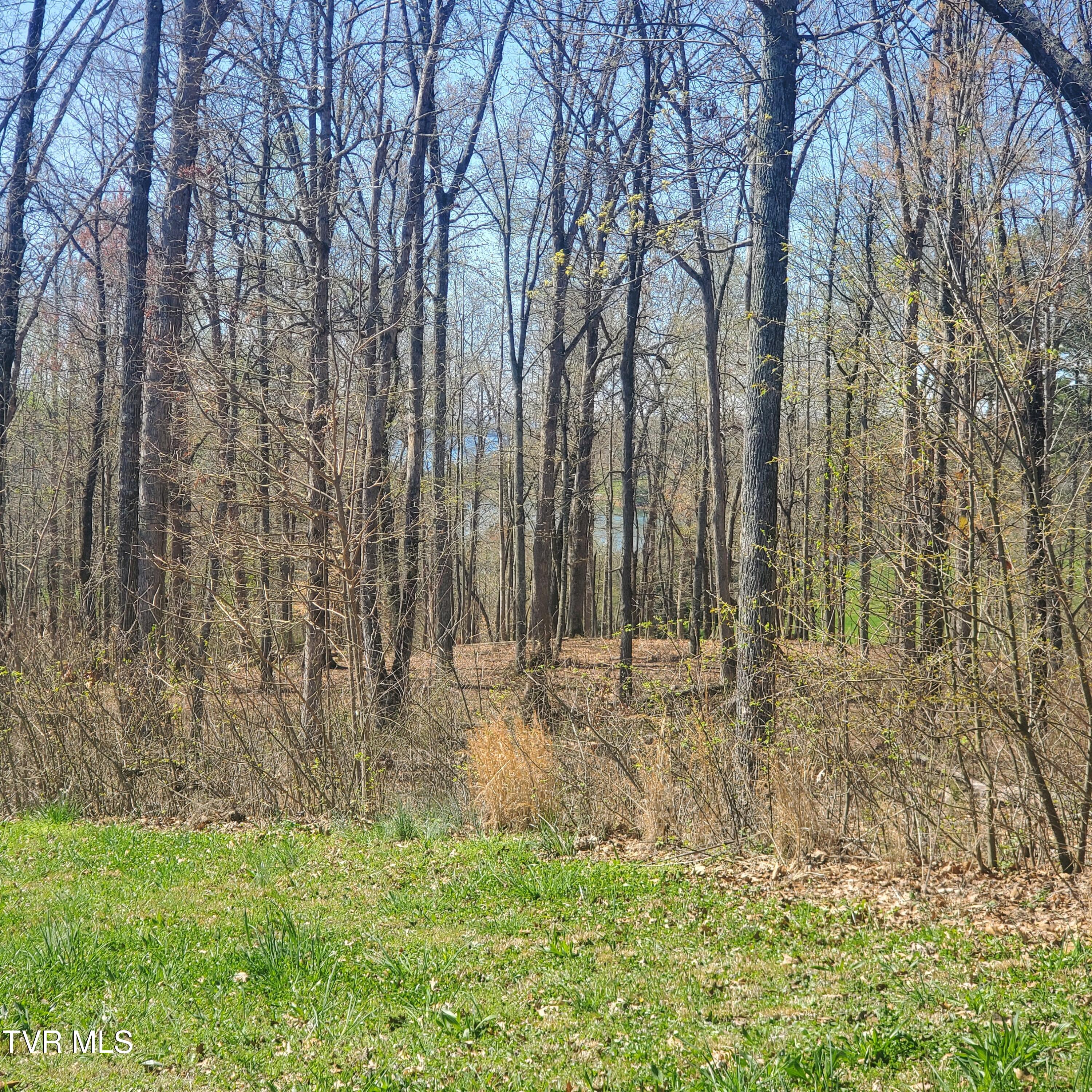 Lot 136 Tumbleweed Trail, Unit 136 Rutledge, TN 37861 - Photo 1 of 26 Lot 136 Tumbleweed Trl - 2