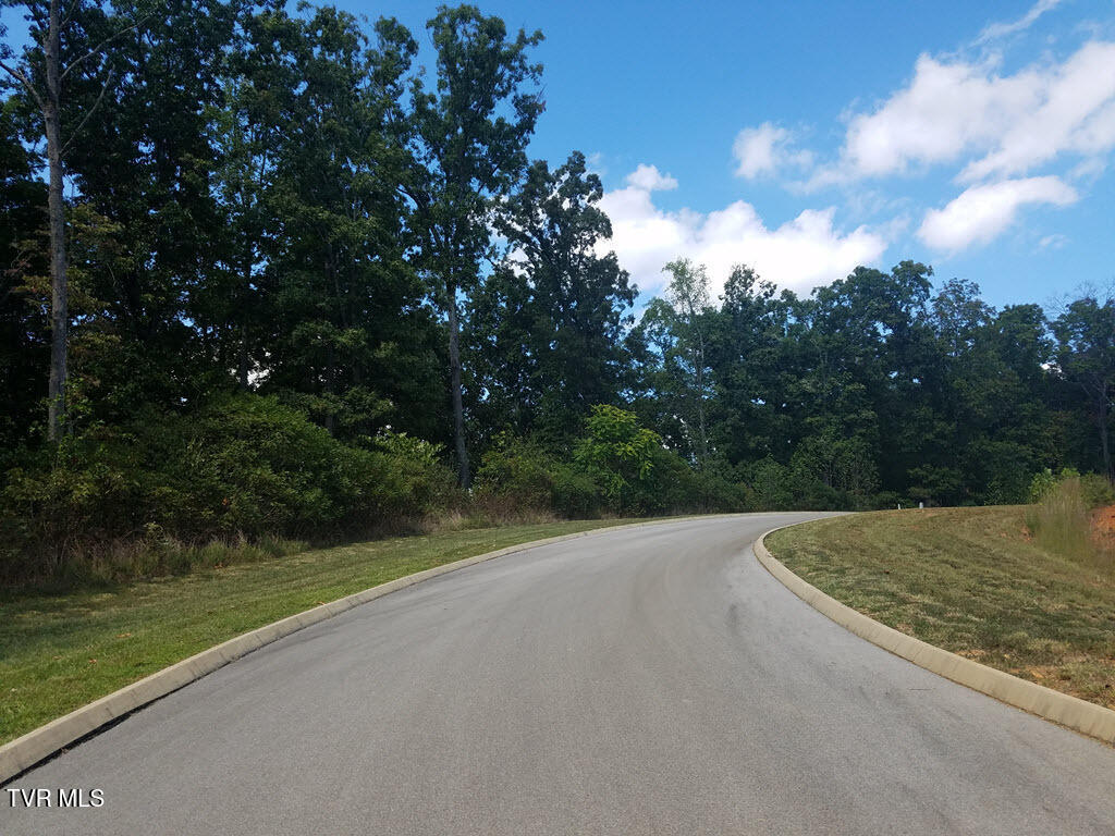 Lot 136 Tumbleweed Trail, Unit 136 Rutledge, TN 37861 - Photo 14 of 26 Lot 136 Tumbleweed Trl - 14