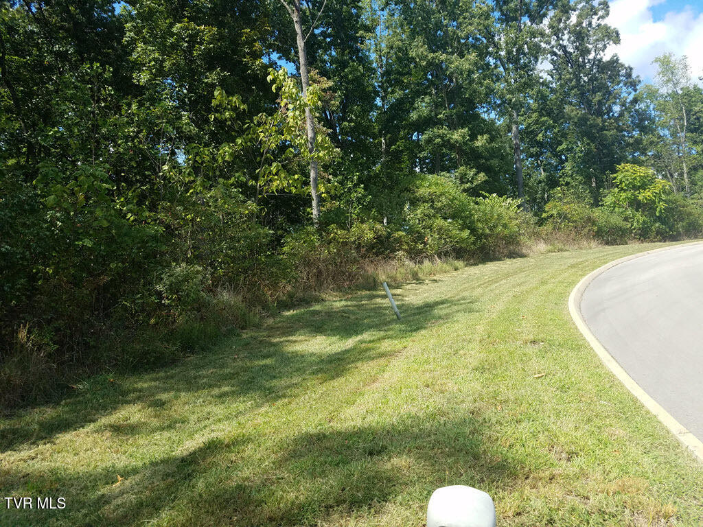 Lot 136 Tumbleweed Trail, Unit 136 Rutledge, TN 37861 - Photo 17 of 26 Lot 136 Tumbleweed Trl - 17