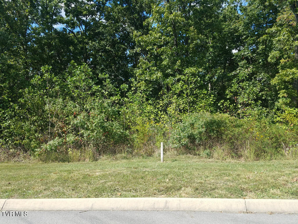 Lot 136 Tumbleweed Trail, Unit 136 Rutledge, TN 37861 - Photo 19 of 26 Lot 136 Tumbleweed Trl - 20