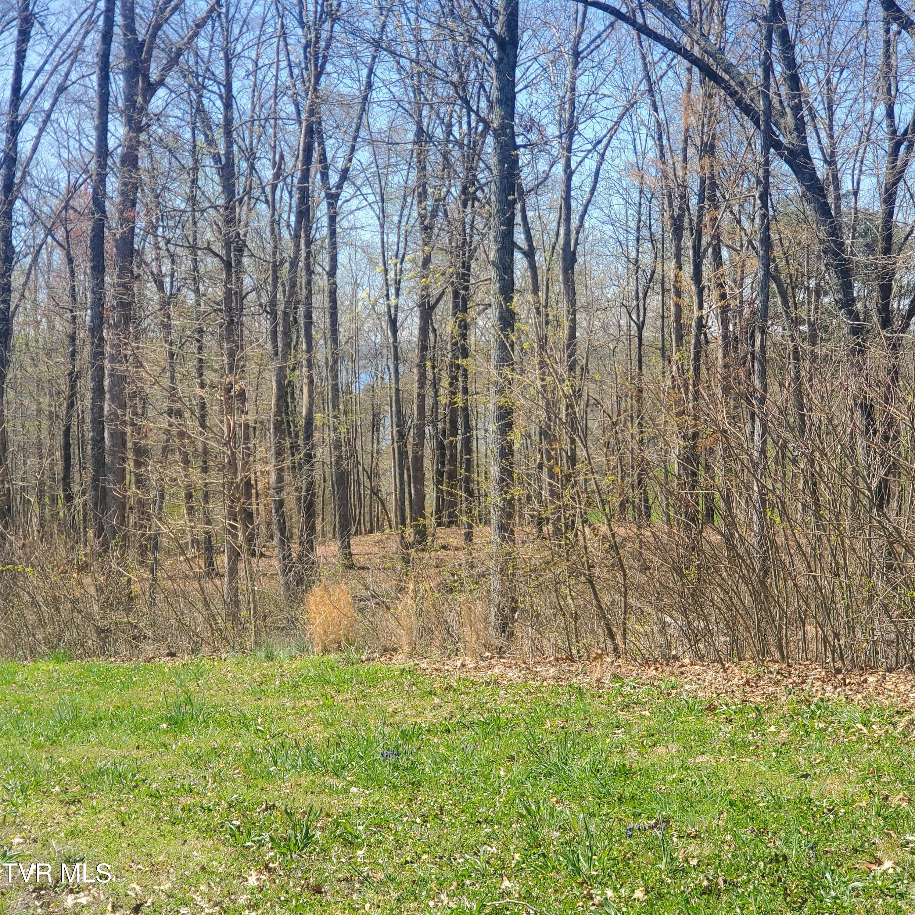 Lot 136 Tumbleweed Trail, Unit 136 Rutledge, TN 37861 - Photo 3 of 26 Lot 136 Tumbleweed Trl - 3