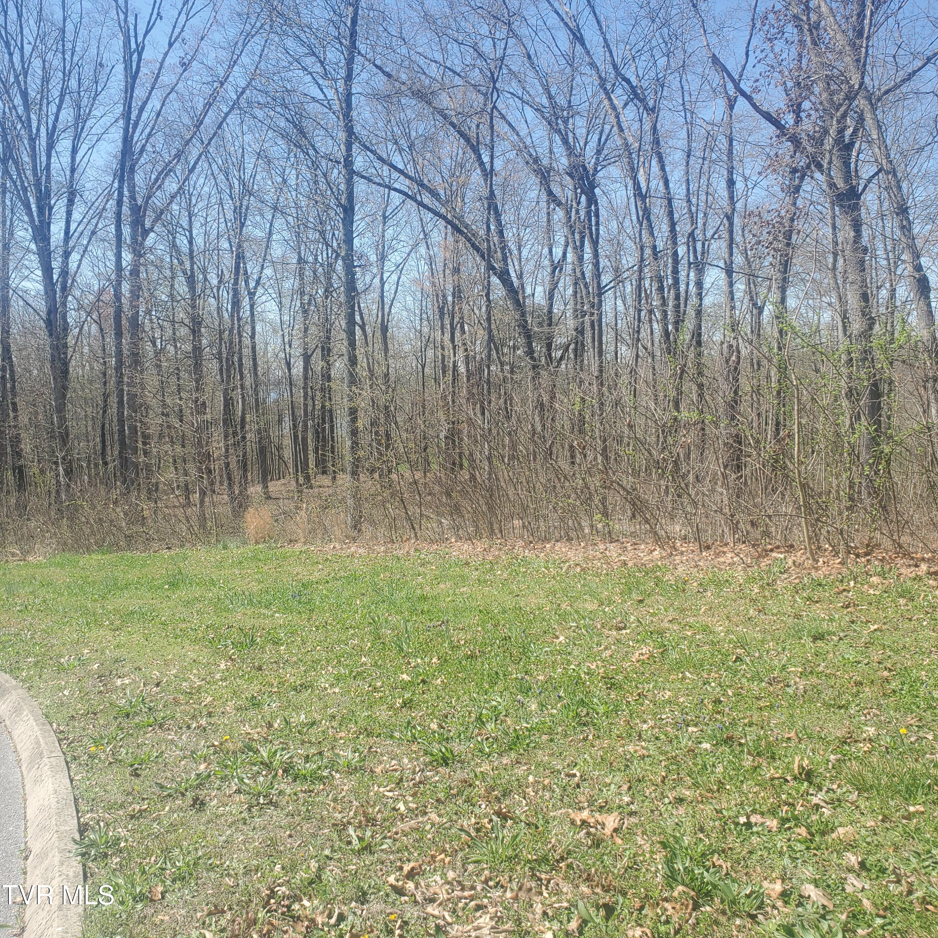 Lot 136 Tumbleweed Trail, Unit 136 Rutledge, TN 37861 - Photo 4 of 26 Lot 136 Tumbleweed Trl - 4