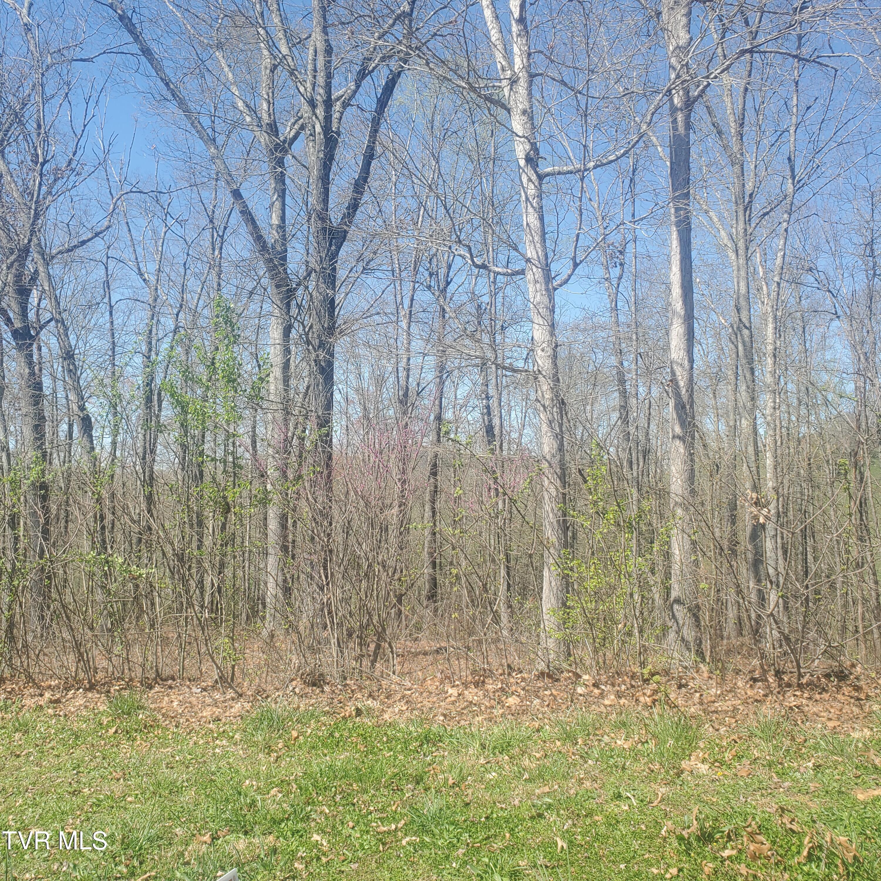 Lot 136 Tumbleweed Trail, Unit 136 Rutledge, TN 37861 - Photo 5 of 26 Lot 136 Tumbleweed Trl - 5