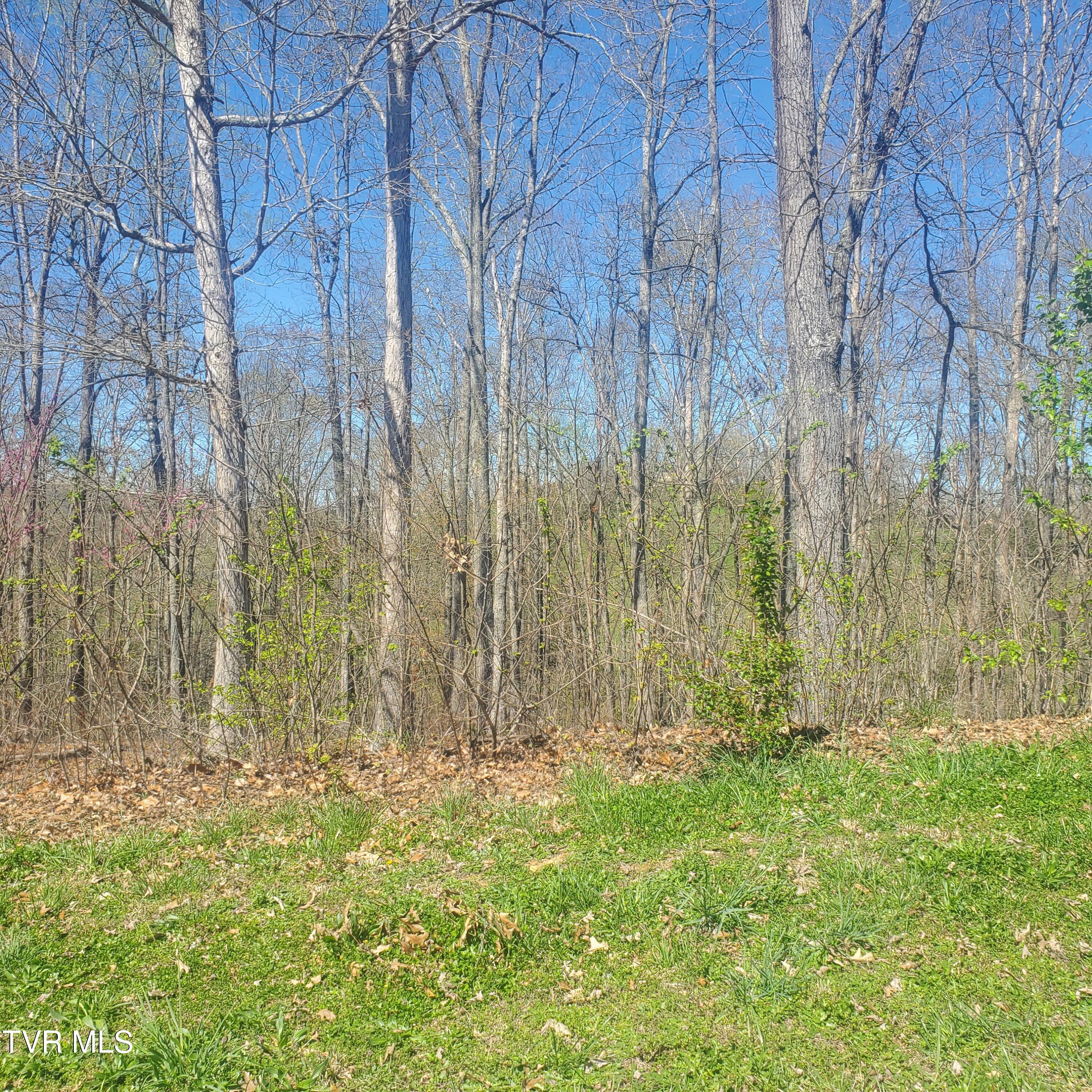 Lot 136 Tumbleweed Trail, Unit 136 Rutledge, TN 37861 - Photo 6 of 26 Lot 136 Tumbleweed Trl - 6