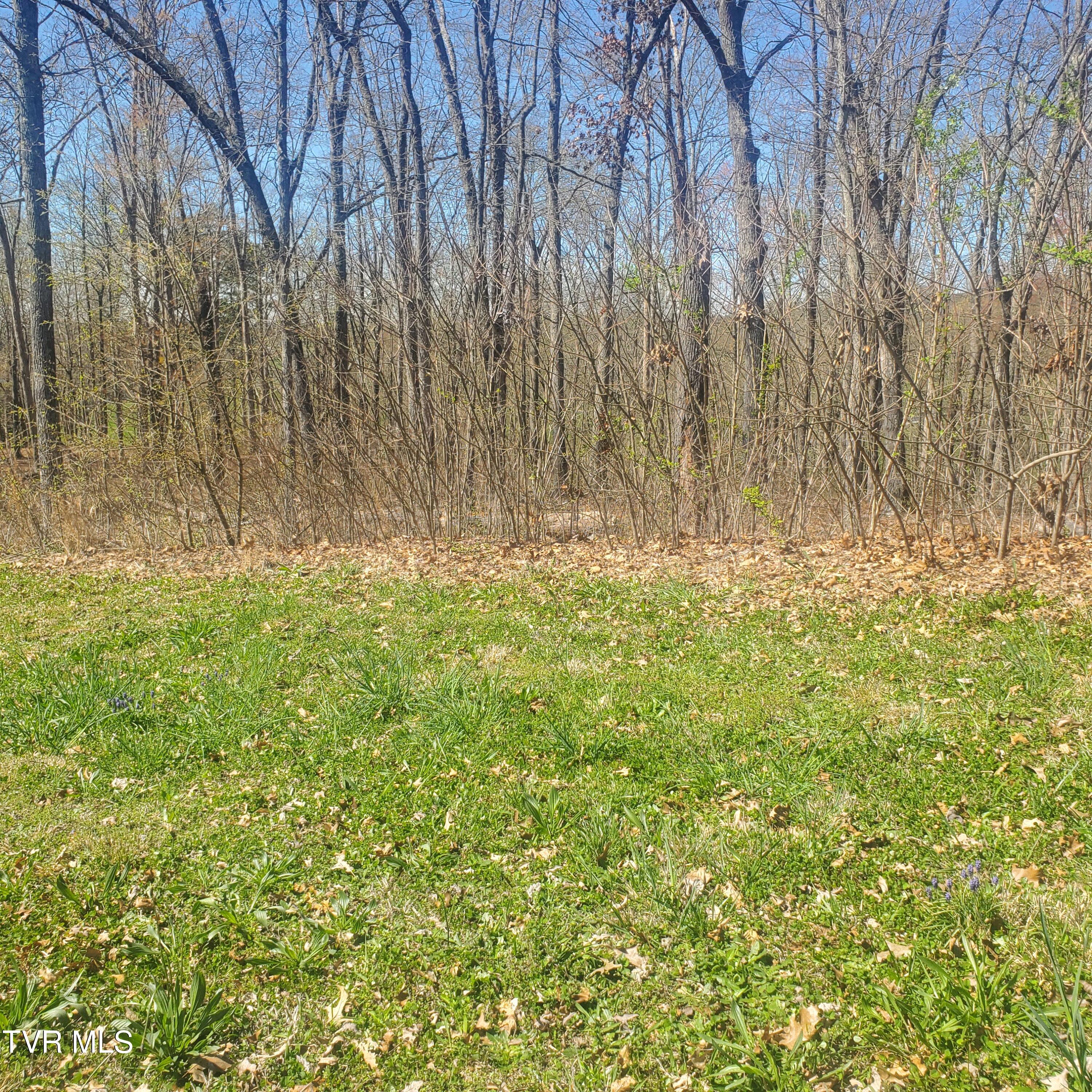 Lot 136 Tumbleweed Trail, Unit 136 Rutledge, TN 37861 - Photo 7 of 26 Lot 136 Tumbleweed Trl - 7