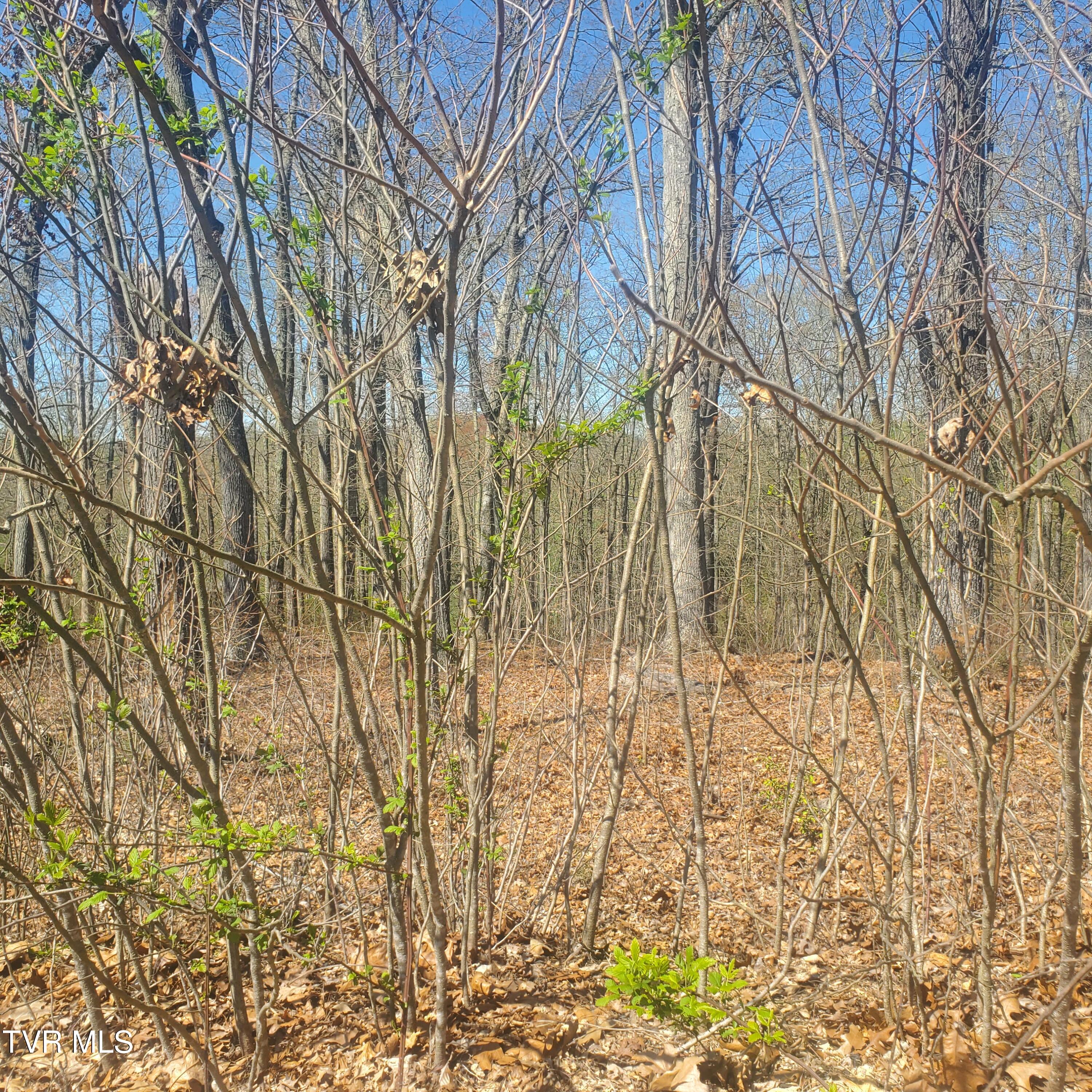 Lot 136 Tumbleweed Trail, Unit 136 Rutledge, TN 37861 - Photo 8 of 26 Lot 136 Tumbleweed Trl - 8