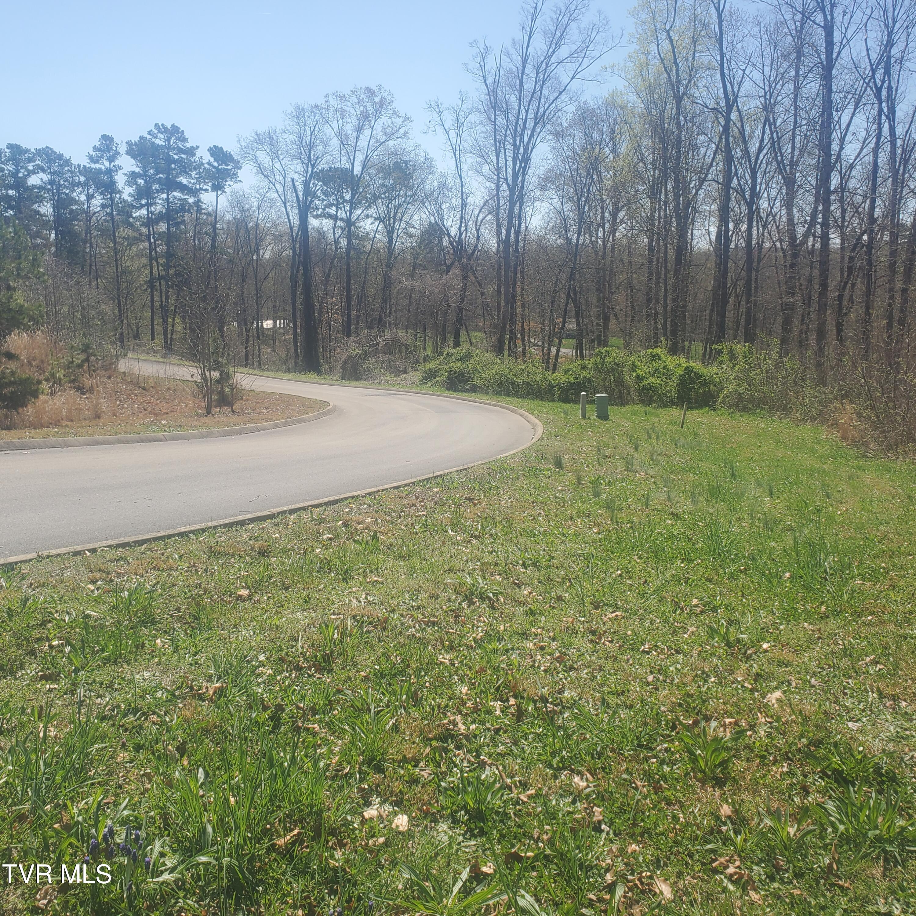 Lot 136 Tumbleweed Trail, Unit 136 Rutledge, TN 37861 - Photo 9 of 26 Lot 136 Tumbleweed Trl - 9