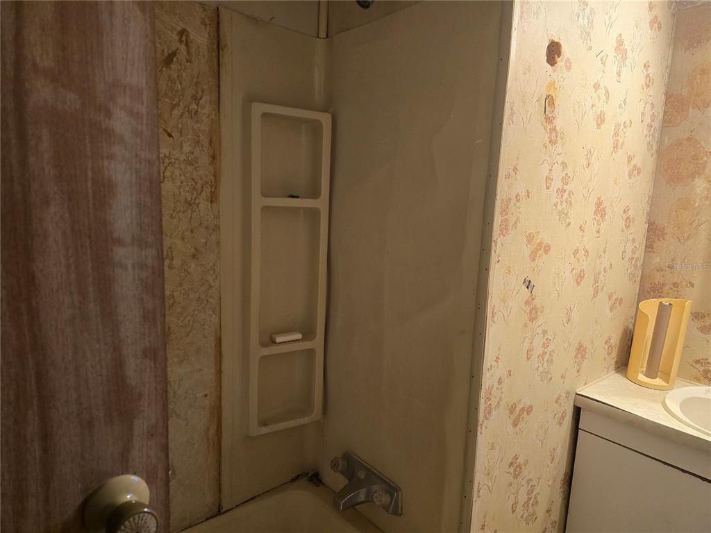 513 Smith Road Polk City, FL 33868 - Photo 12 of 33 a bathroom with a sink and vanity