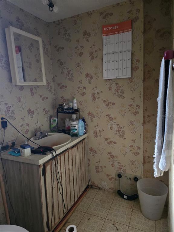 513 Smith Road Polk City, FL 33868 - Photo 15 of 33 a bathroom with a sink and a toilet