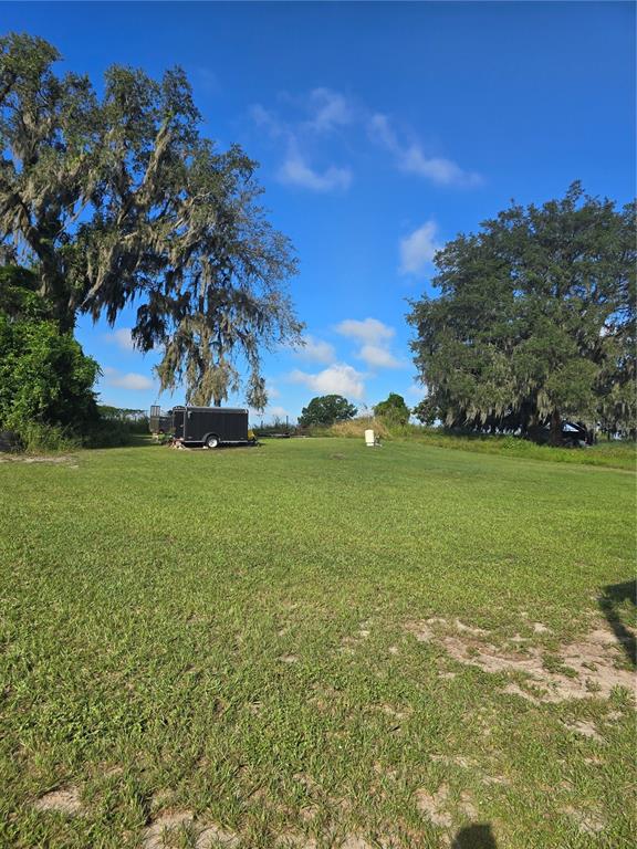 513 Smith Road Polk City, FL 33868 - Photo 24 of 33 a view of a field with an tree