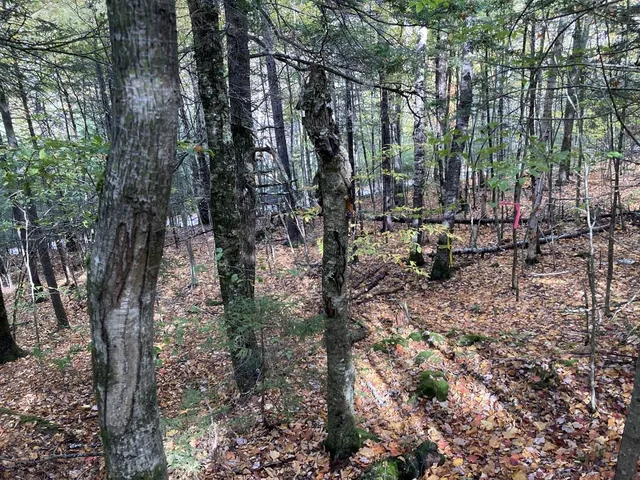 $88,000 | Abnaki Trail, Campton, NH 03223