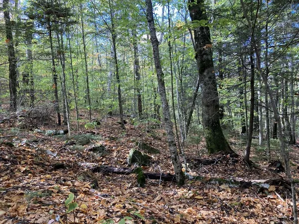 $69,900 | Abnaki Trail, Campton, NH 03223