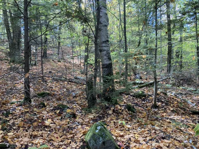 $88,000 | Abnaki Trail, Campton, NH 03223