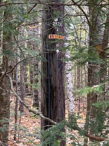 $88,000 | Abnaki Trail, Campton, NH 03223