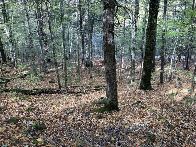 $88,000 | Abnaki Trail, Campton, NH 03223