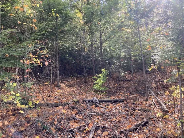 $69,900 | Abnaki Trail, Campton, NH 03223