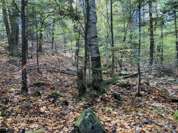 $69,900 | Abnaki Trail, Campton, NH 03223