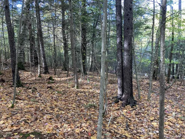 $88,000 | Abnaki Trail, Campton, NH 03223