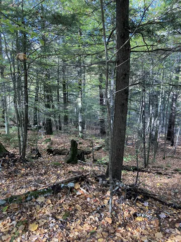 $88,000 | Abnaki Trail, Campton, NH 03223