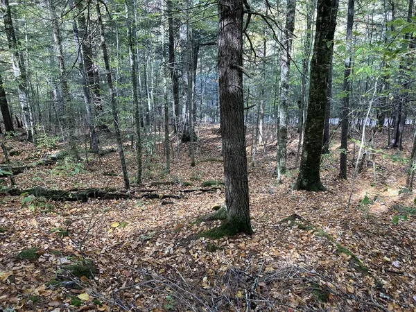$69,900 | Abnaki Trail, Campton, NH 03223