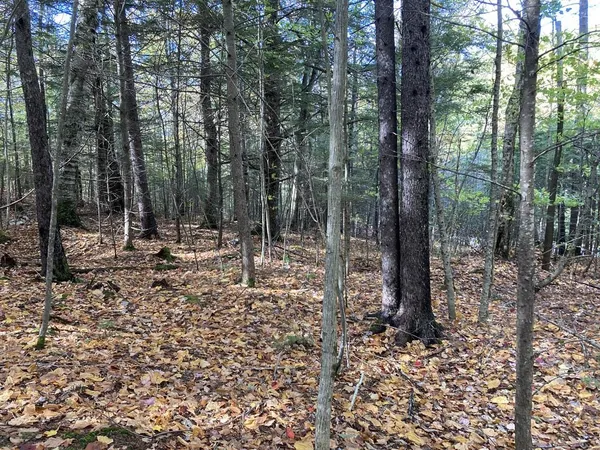 $69,900 | Abnaki Trail, Campton, NH 03223