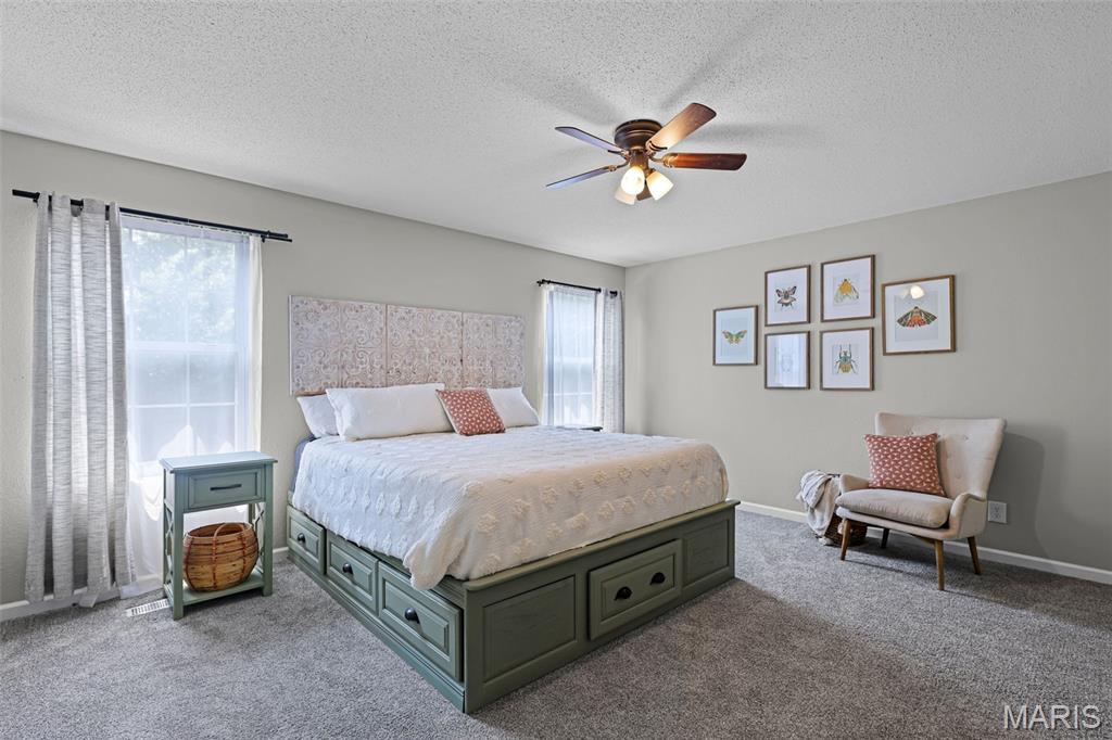 8010 Austin Drive Troy, IL 62294 - Photo 14 of 36