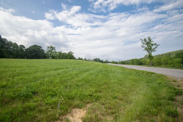 $250,000 | Lot 8 Tanager Cove, Dublin, VA 24084