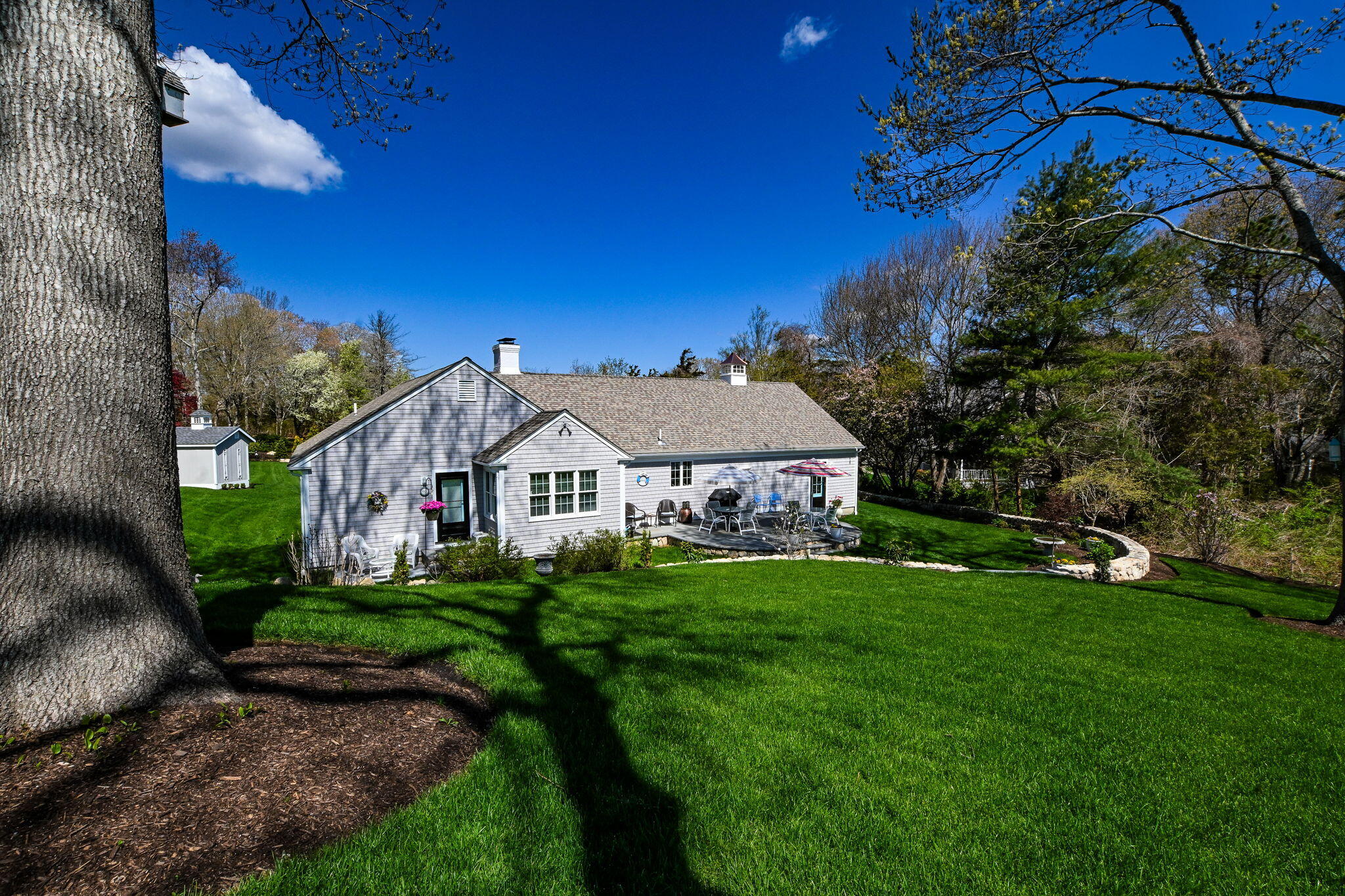 9 Coach Lane Sandwich, MA 02563 - Photo 8 of 38 a view of a house with a big yard potted plants and large tree
