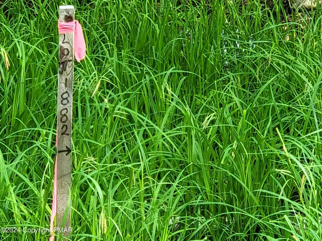 an aerial view of a house with a plant