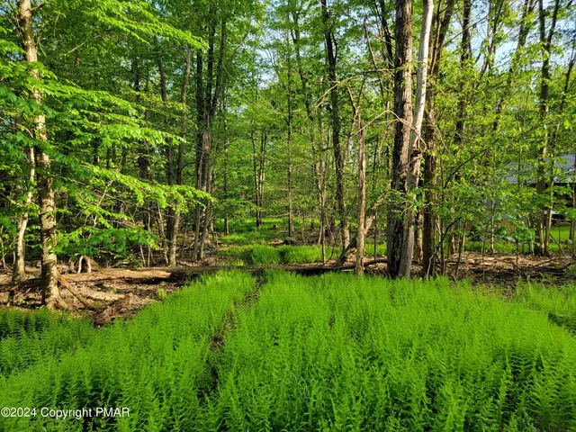 a backyard of a house with lots of green space
