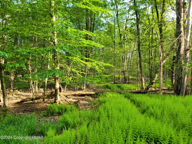 a view of yard with green space