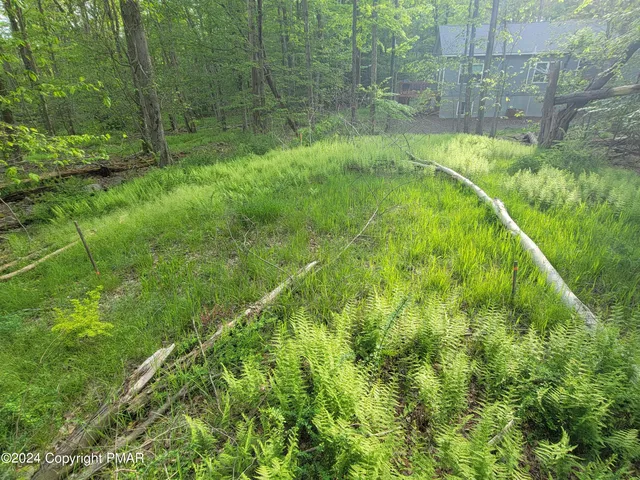 a view of swimming pool from a garden