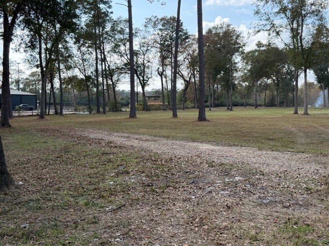 21405 Roberts Cemetery Road Hockley, TX 77447 - Photo 2 of 10 a view of outdoor space with trees