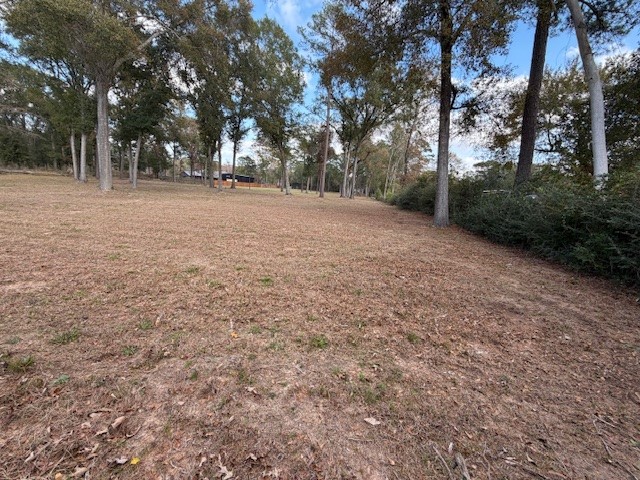 21405 Roberts Cemetery Road Hockley, TX 77447 - Photo 6 of 10 a view of dirt yard with a trees