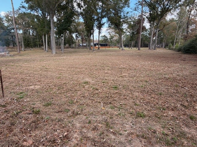 21405 Roberts Cemetery Road Hockley, TX 77447 - Photo 8 of 10 a view of outdoor space with trees