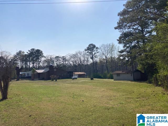 1207 Cherokee Trail Ohatchee, AL 36271 - Photo 7 of 23