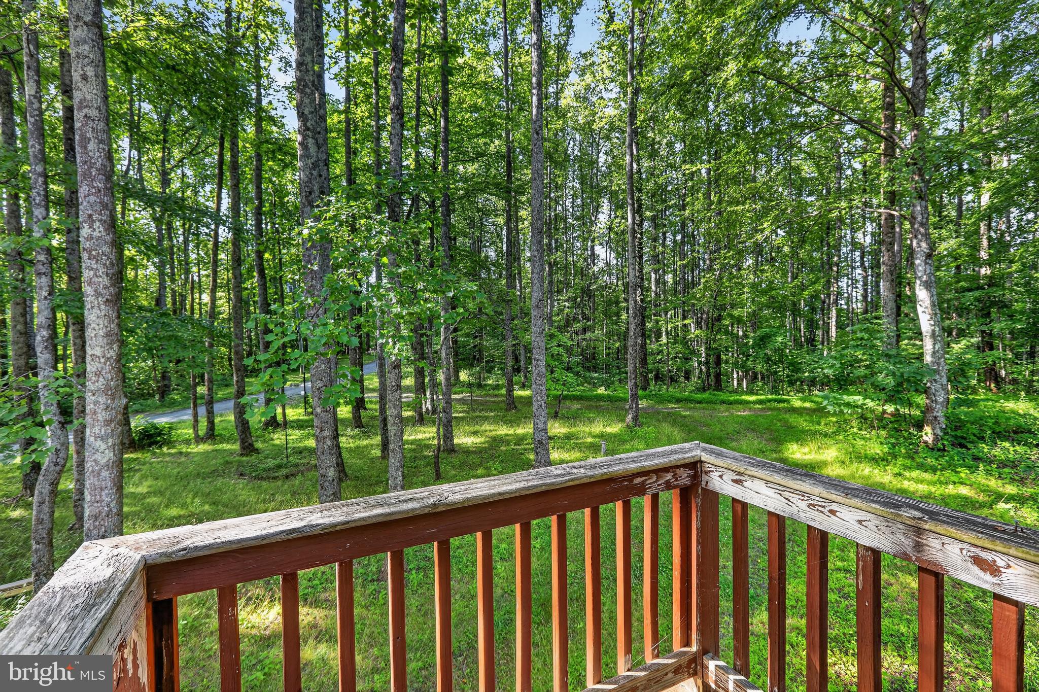 453 Lost Valley Road Madison, VA 22727 - Photo 43 of 54