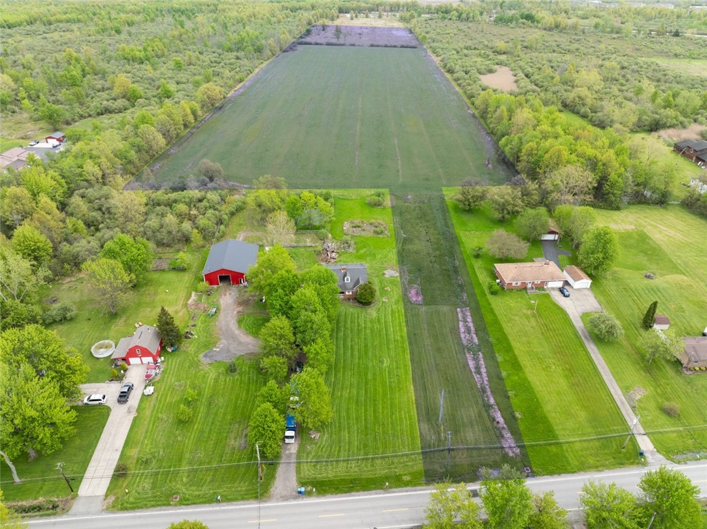1169 New Road Amherst, NY 14228 - Photo 1 of 1 Gallery Image 1