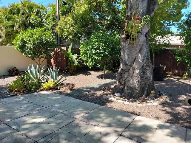 a view of a garden with a tree