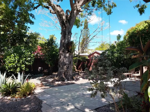 a view of a tree in front of a house