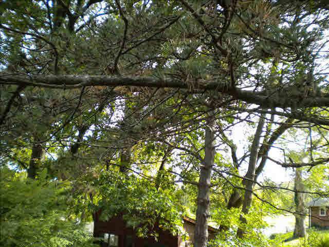 4016 South Custer Road Monroe, MI 48161 - Photo 12 of 20 20102391-11.JPG