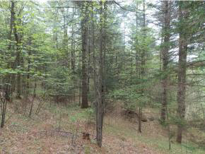 - Maxfield Road Irasburg, VT 05845 - Photo 13 of 15