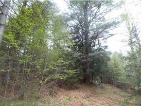 - Maxfield Road Irasburg, VT 05845 - Photo 5 of 15